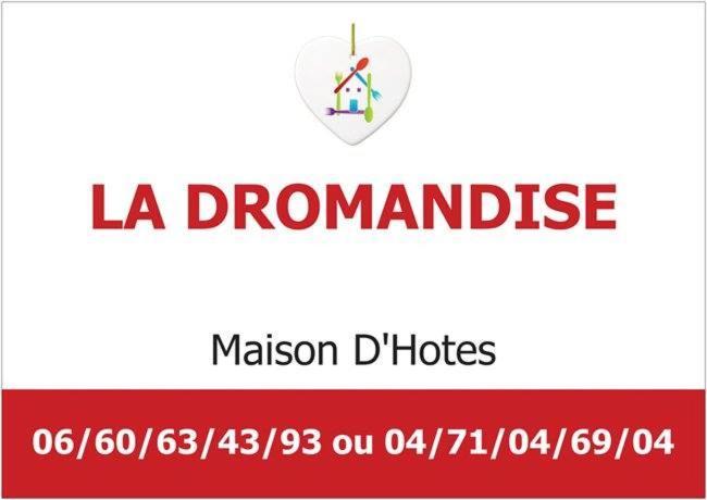 Maison D'Hotes La Dromandise Saint-Arcons-de-Barges Exterior foto
